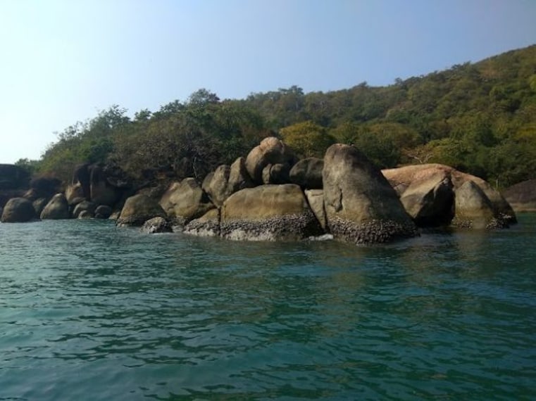 Palolem Beach-4